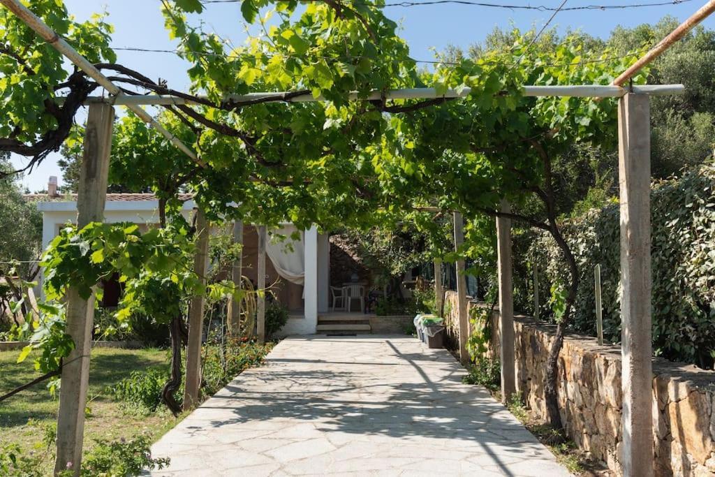 Casa Ginepro Hébergement de vacances