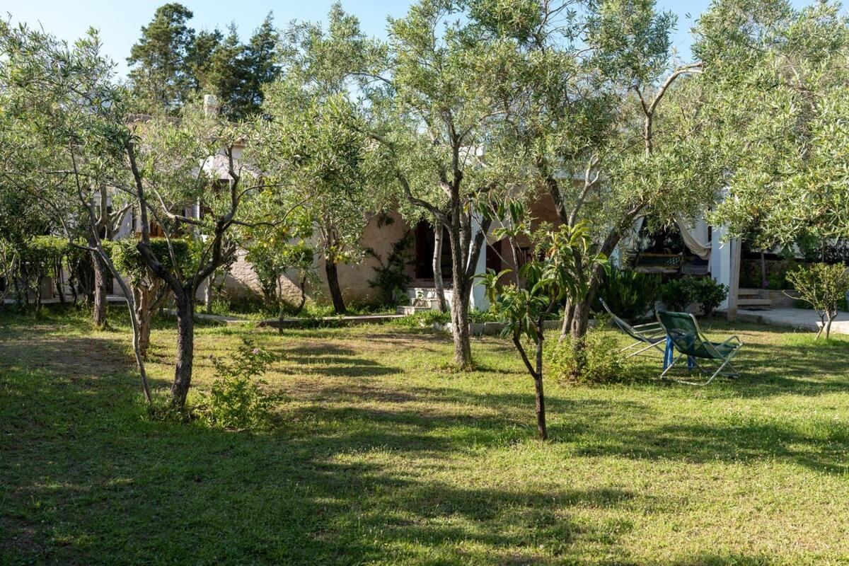 Casa Ginepro * Olbia